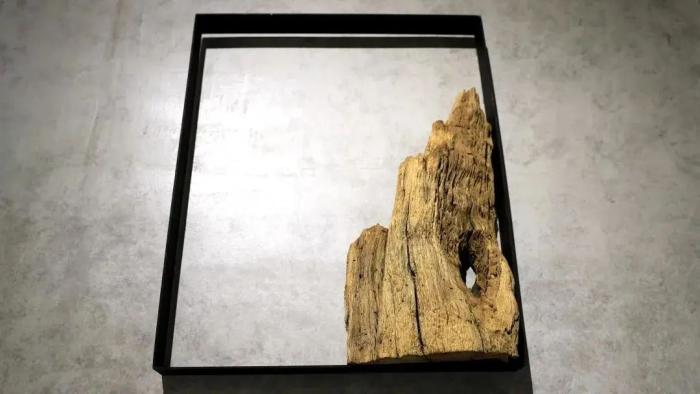 海草房室內裝飾