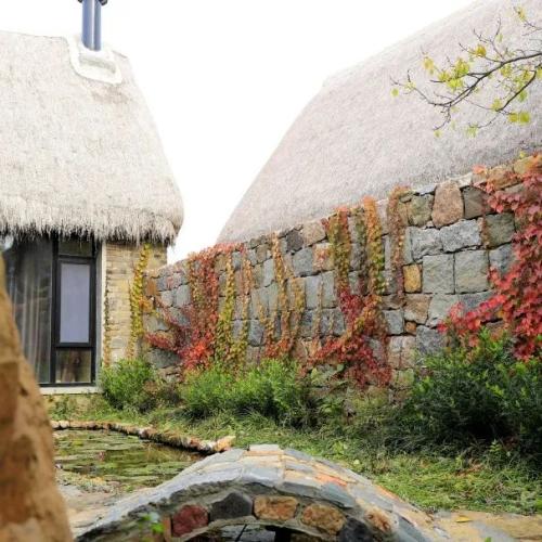 海草房屋頂結構