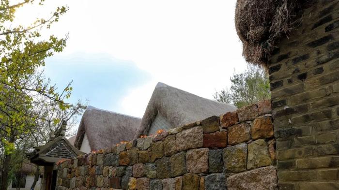 海草房室內設計