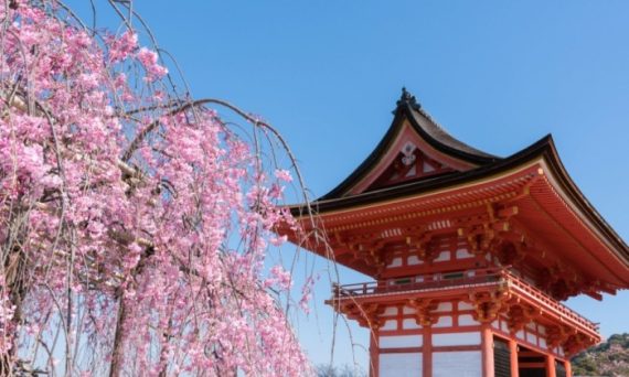 日本櫻花季旅遊攻略：行程規劃與景點推薦