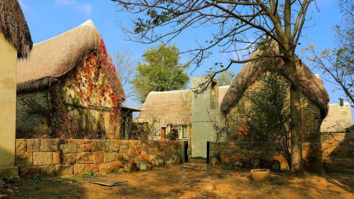 溫暖的室內氛圍