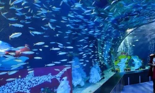 水族館內部