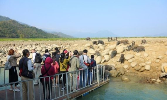山豬島交通攻略：如何前往、船班資訊與周邊景點串聯